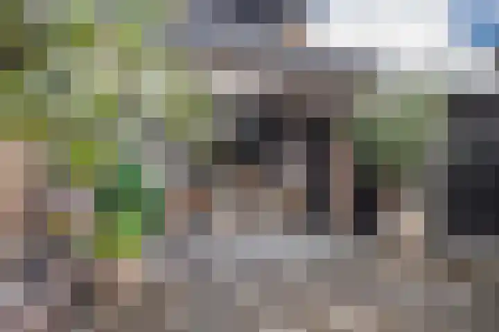 1e Lange Voren 4 Elst thumbnail 16
