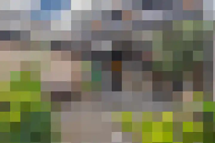 1e Lange Voren 4 Elst thumbnail 17