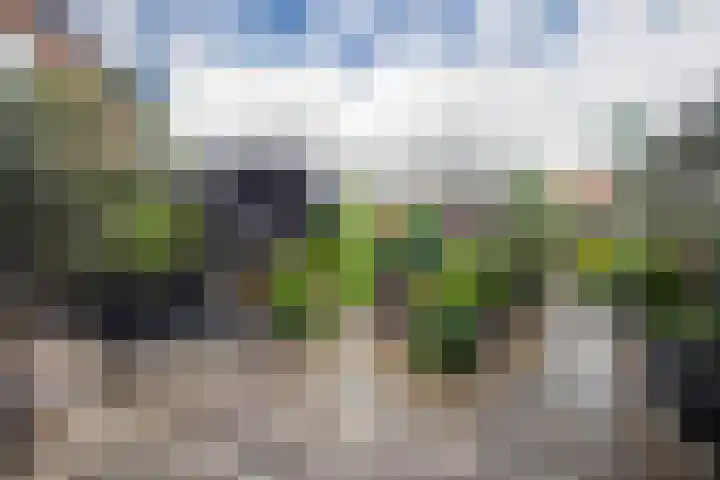 1e Lange Voren 4 Elst thumbnail 18