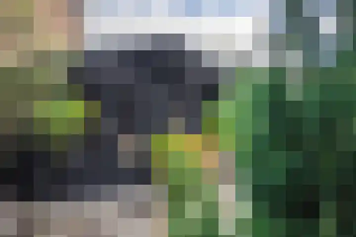 1e Lange Voren 4 Elst thumbnail 19