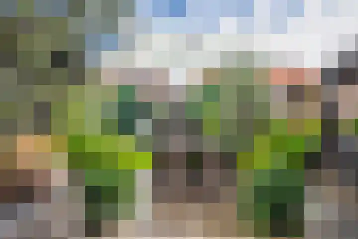 1e Lange Voren 4 Elst thumbnail 20