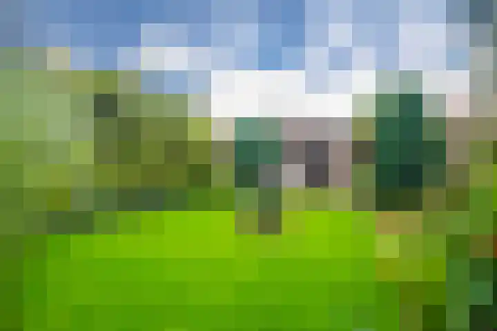 1e Lange Voren 4 Elst thumbnail 21