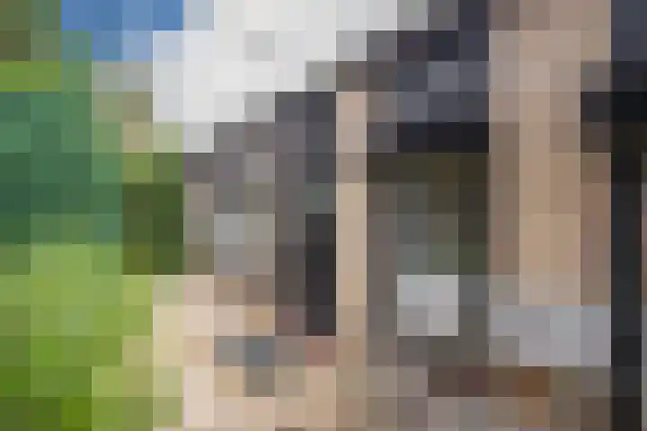 1e Lange Voren 4 Elst thumbnail 22