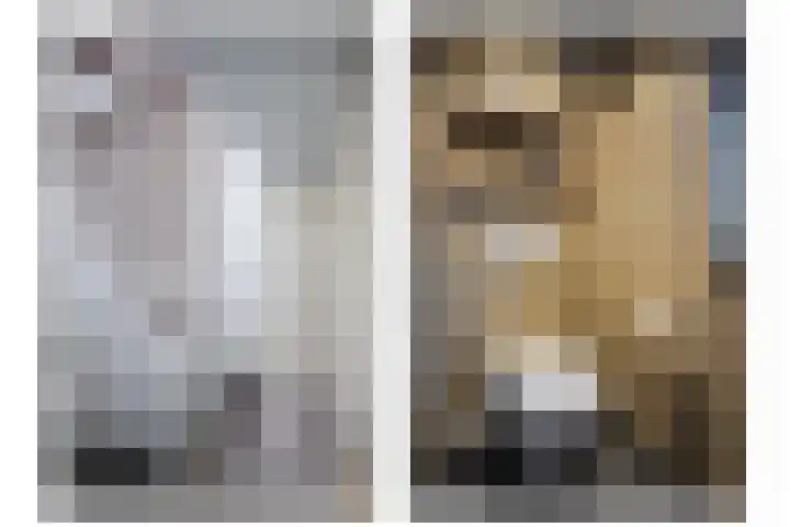 1e Lange Voren 4 Elst thumbnail 23
