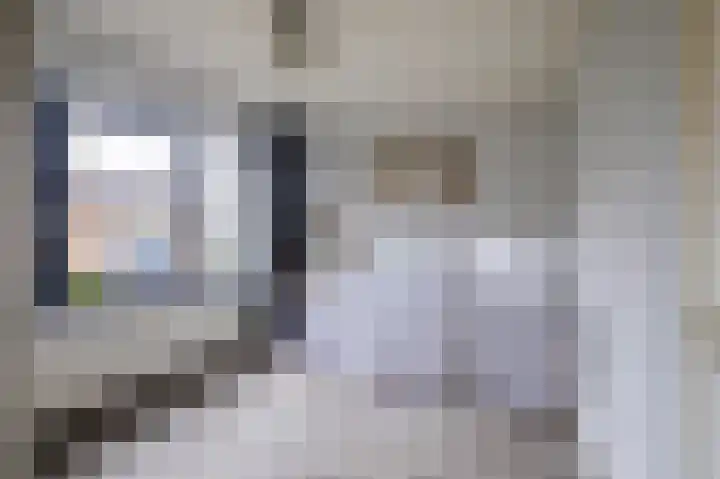 1e Lange Voren 4 Elst thumbnail 27