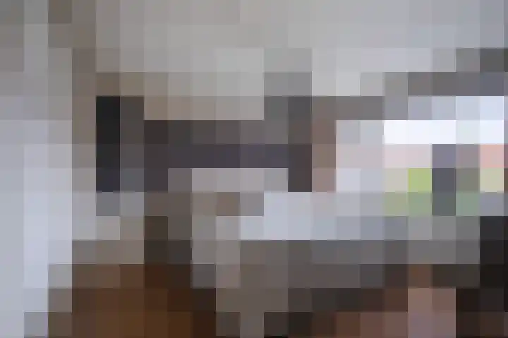 1e Lange Voren 4 Elst thumbnail 29