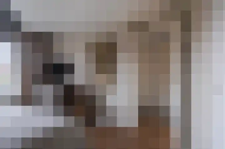 1e Lange Voren 4 Elst thumbnail 30