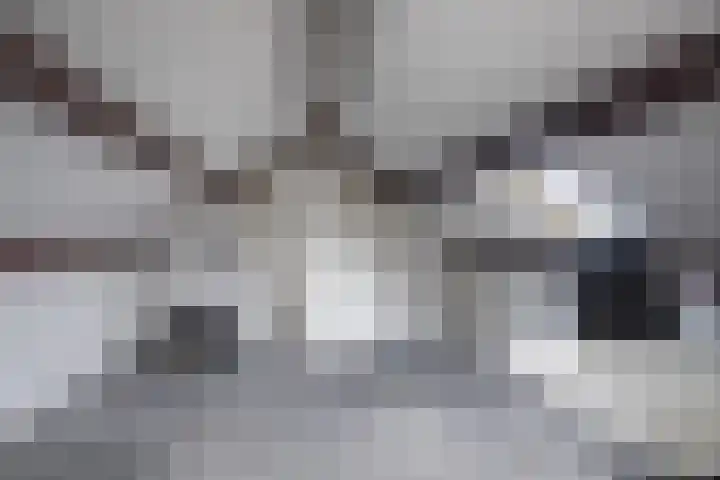 1e Lange Voren 4 Elst thumbnail 31