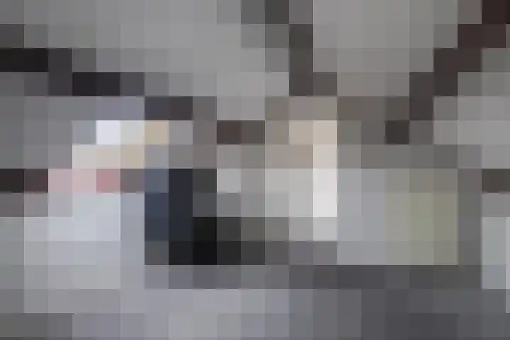 1e Lange Voren 4 Elst thumbnail 32