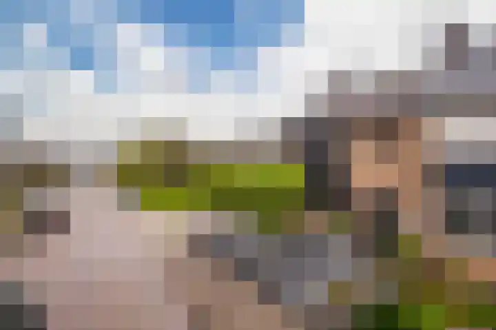 1e Lange Voren 4 Elst thumbnail 33