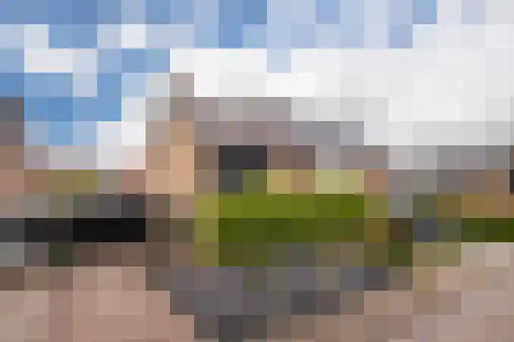 1e Lange Voren 4 Elst thumbnail 34