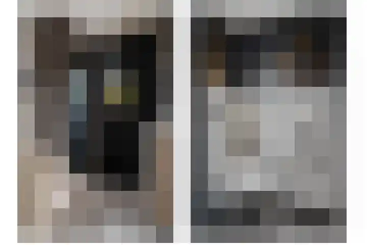 1e Lange Voren 4 Elst thumbnail 5