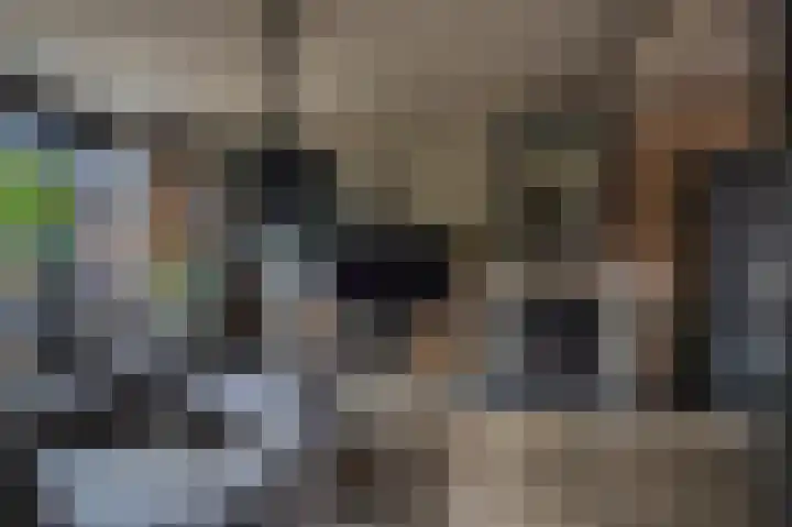 1e Lange Voren 4 Elst thumbnail 6