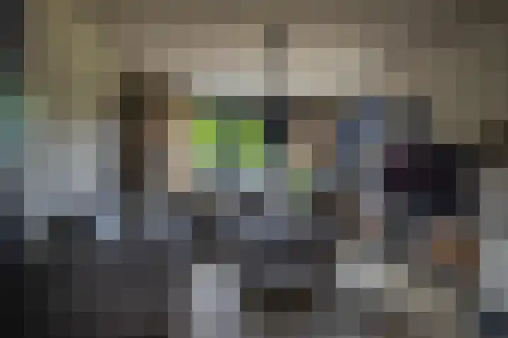1e Lange Voren 4 Elst thumbnail 7