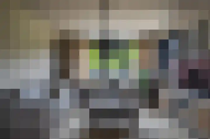 1e Lange Voren 4 Elst thumbnail 8