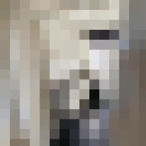 1e Lieven de Keylaan 66 Eindhoven thumbnail 5