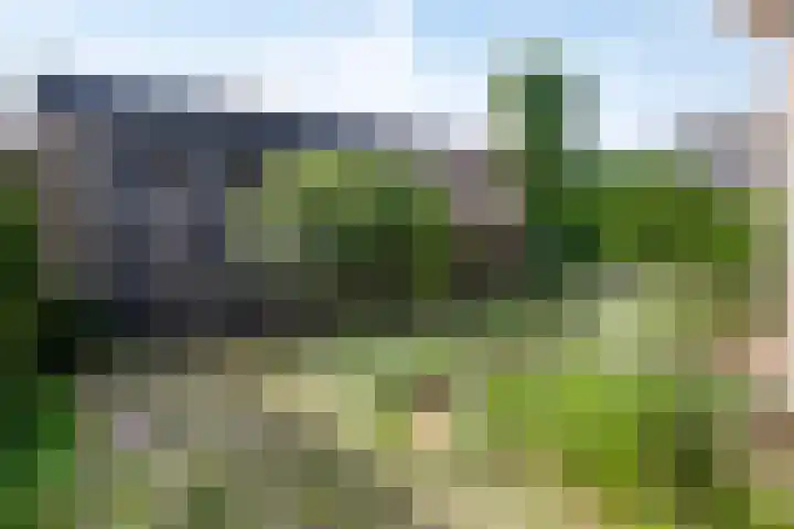 1e Lieven de Keylaan 92 Eindhoven thumbnail 34