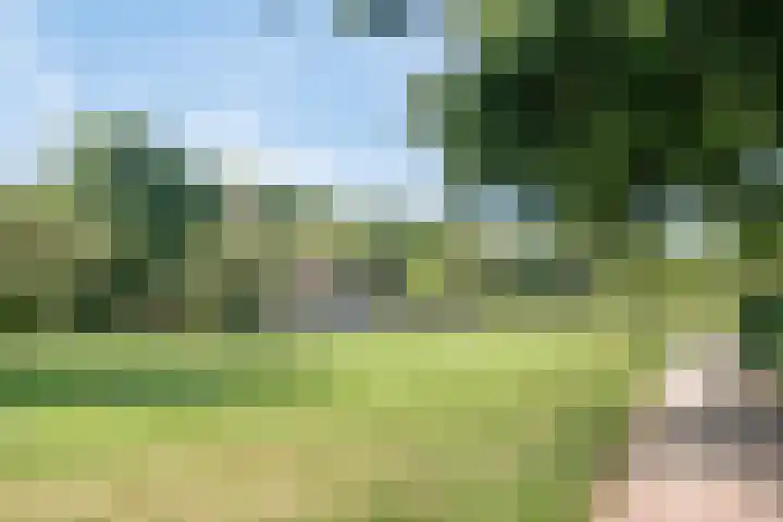 1e Lieven de Keylaan 92 Eindhoven thumbnail 35
