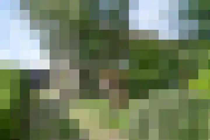1e Lieven de Keylaan 92 Eindhoven thumbnail 6