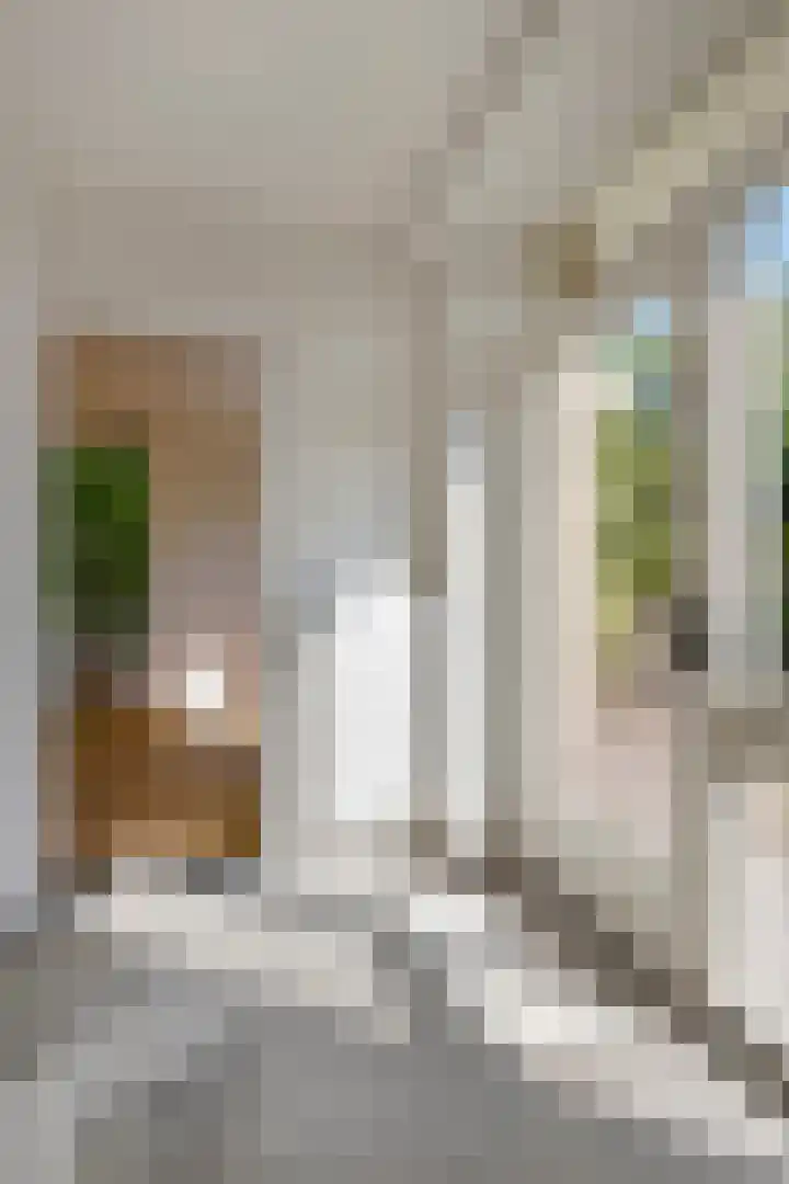 1e Lieven de Keylaan 92 Eindhoven thumbnail 7