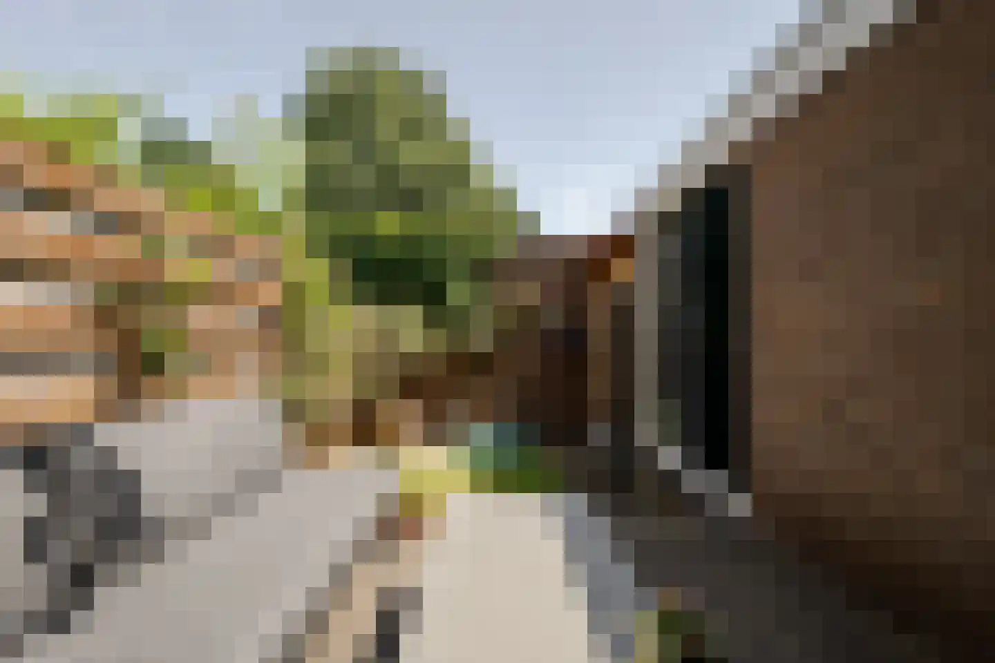 1e Loosterweg 16 Hillegom thumbnail 18
