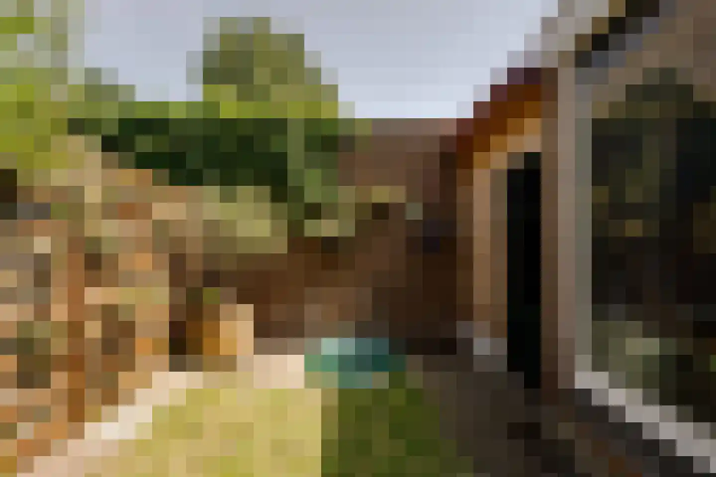 1e Loosterweg 16 Hillegom thumbnail 20