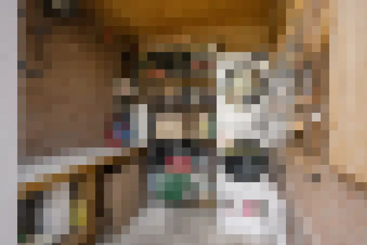 1e Loosterweg 16 Hillegom thumbnail 21