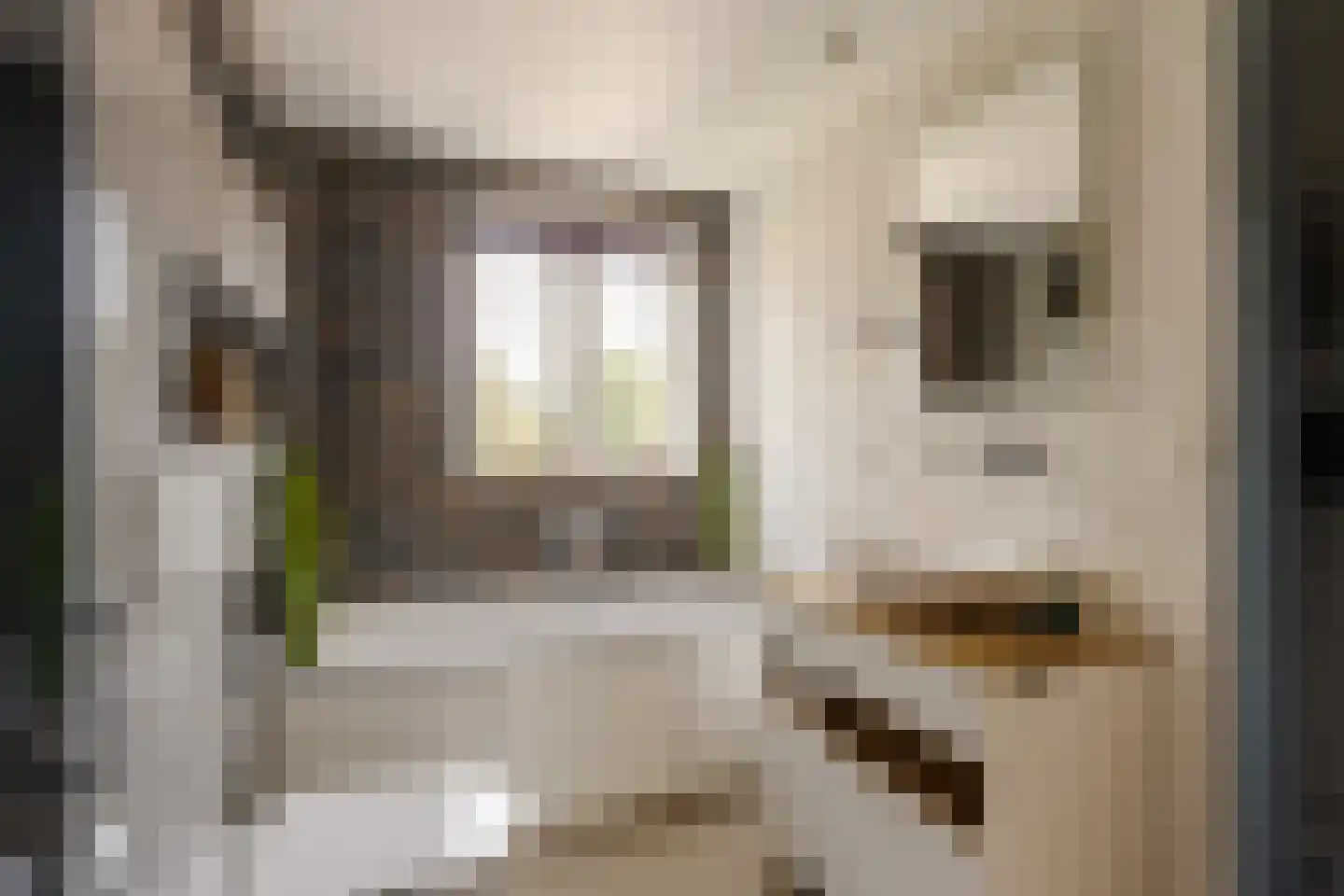 1e Loosterweg 16 Hillegom thumbnail 33