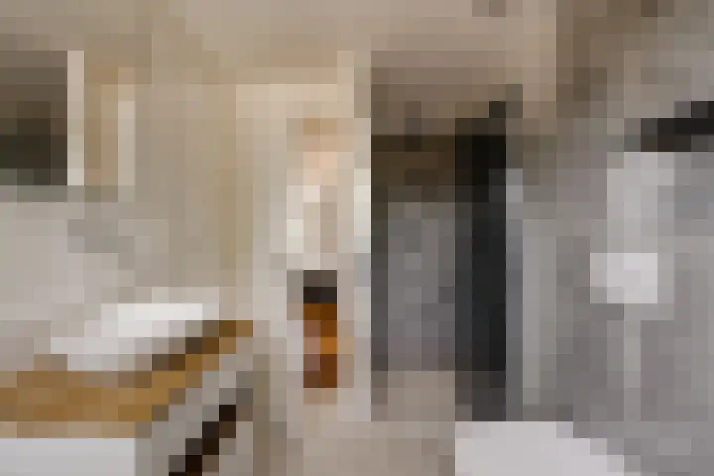 1e Loosterweg 16 Hillegom thumbnail 34