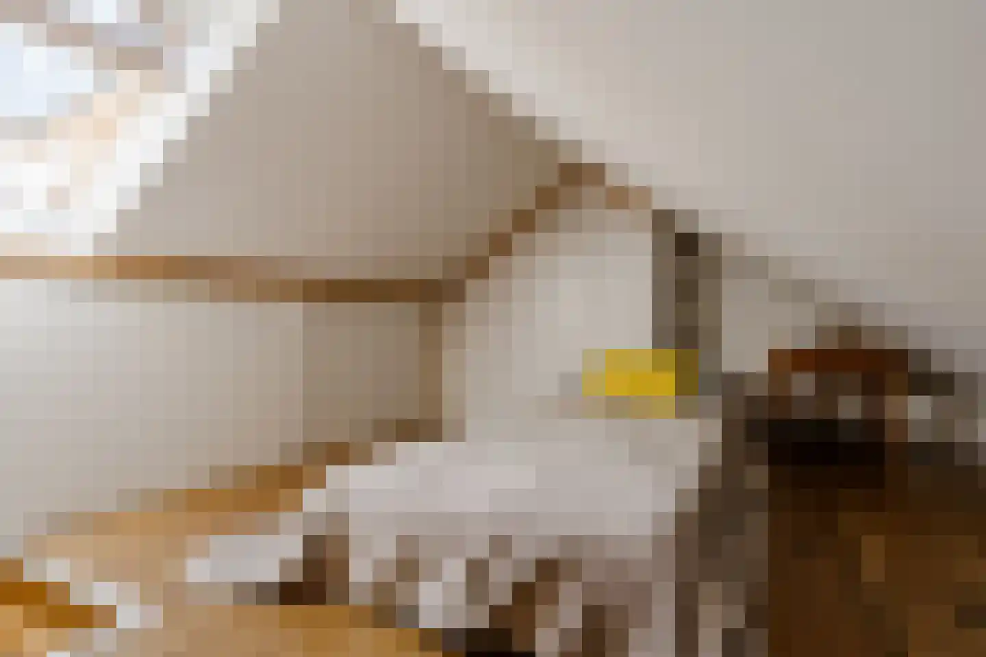 1e Loosterweg 16 Hillegom thumbnail 37
