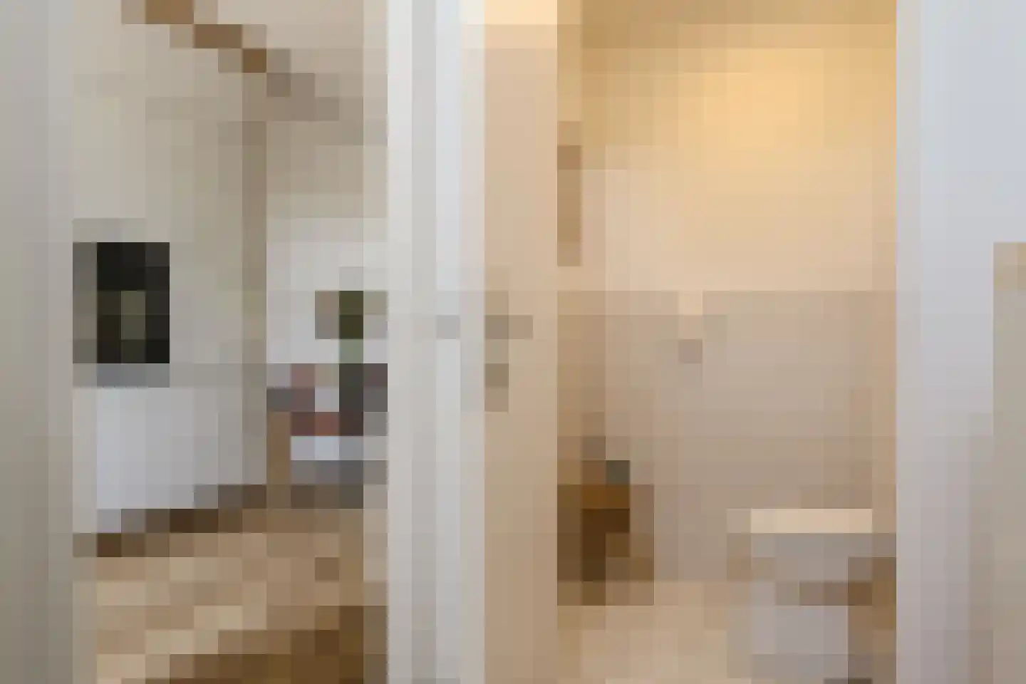 1e Loosterweg 16 Hillegom thumbnail 7