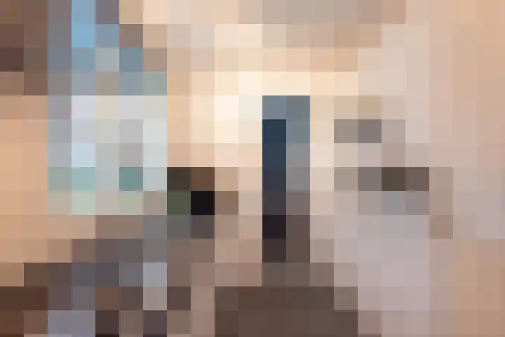 1e Loosterweg 2 Hillegom thumbnail 11