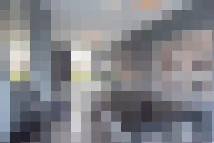 1e Loosterweg 2 Hillegom thumbnail 4