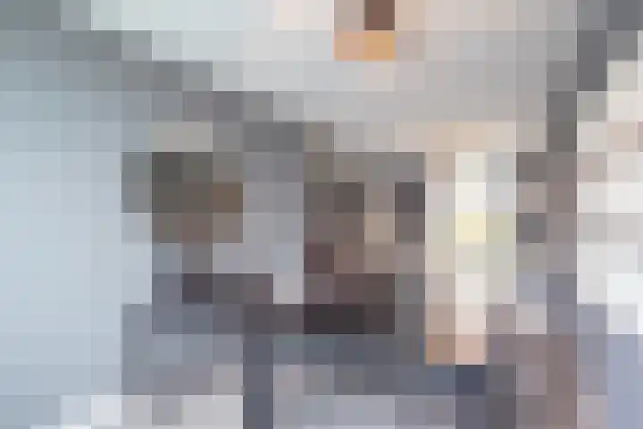 1e Loosterweg 2 Hillegom thumbnail 7