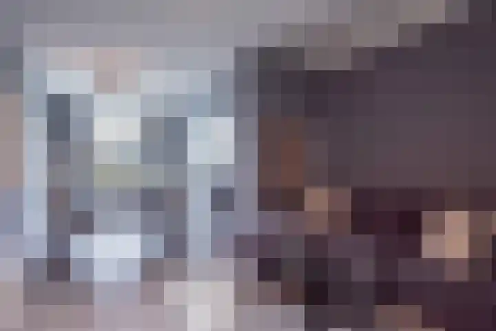 1e Loosterweg 2 Hillegom thumbnail 9