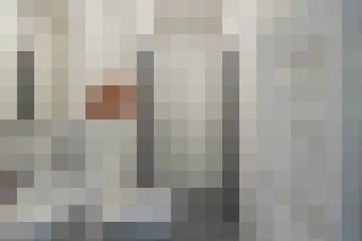 1e Loosterweg 42 L Hillegom thumbnail 20