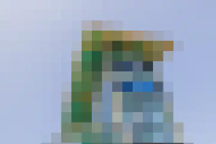 1e Loosterweg 42 L Hillegom thumbnail 25