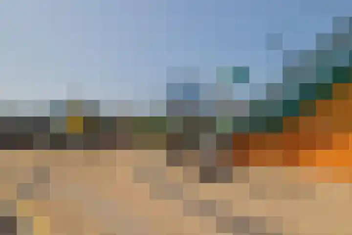 1e Loosterweg 42 L Hillegom thumbnail 26