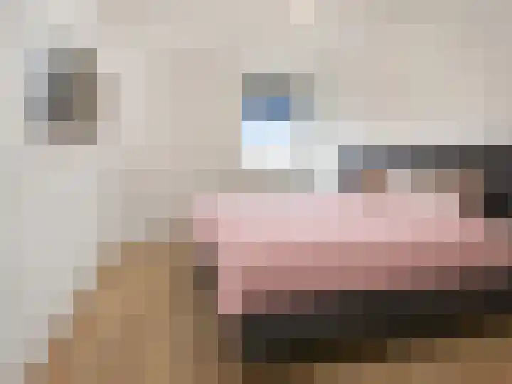 1e Loosterweg 42 M Hillegom thumbnail 14