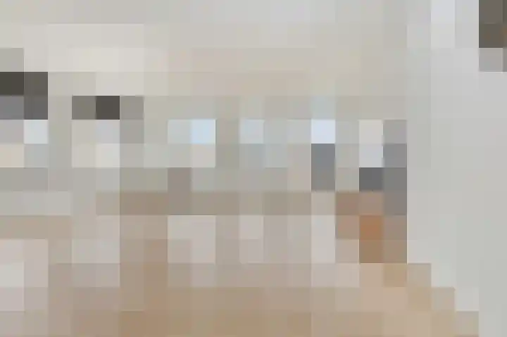 1e Loosterweg 42 M Hillegom thumbnail 5