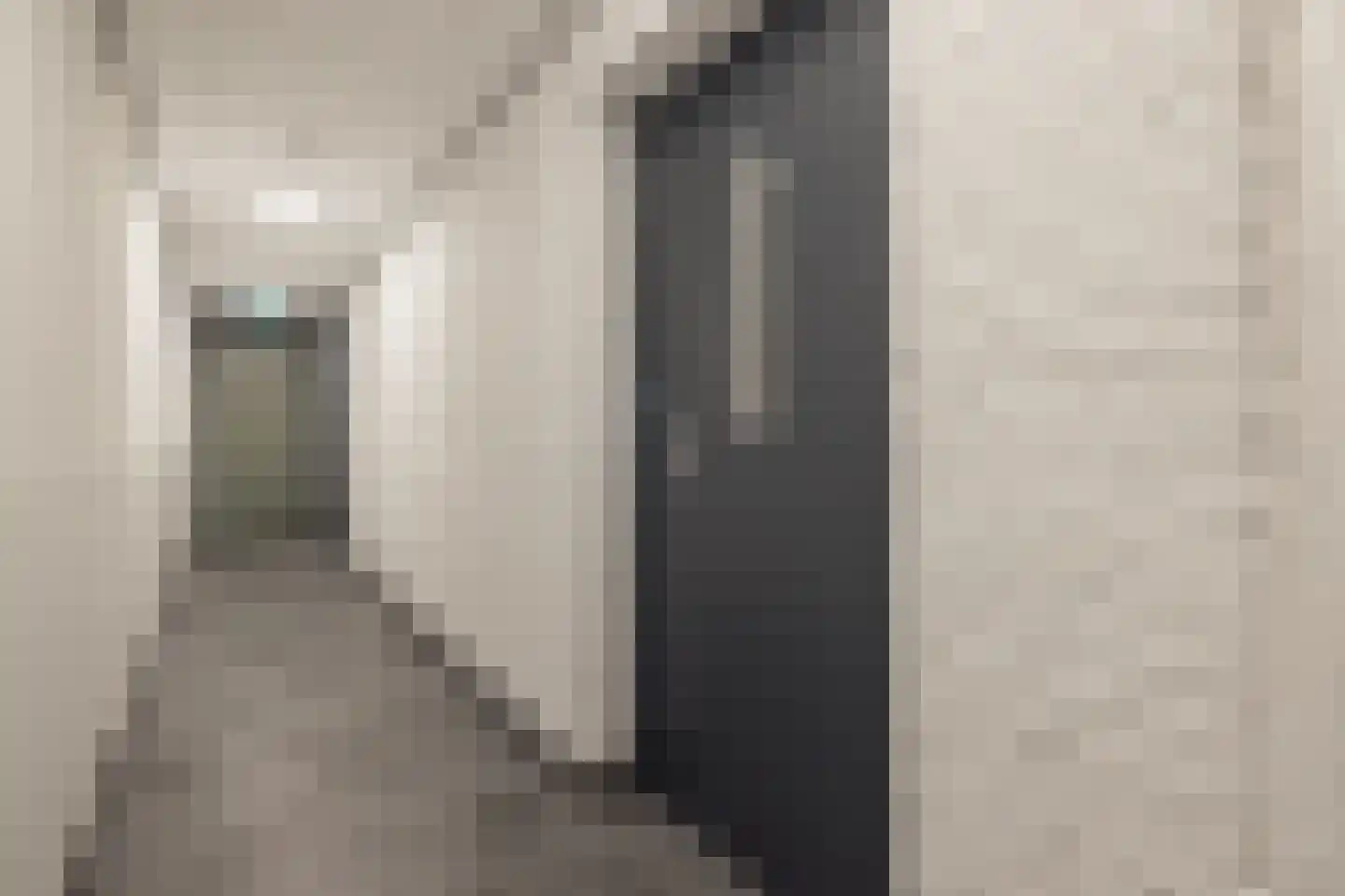 1e Loosterweg 42 R Hillegom thumbnail 7