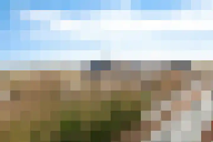 1e Loosterweg 42 T Hillegom thumbnail 12