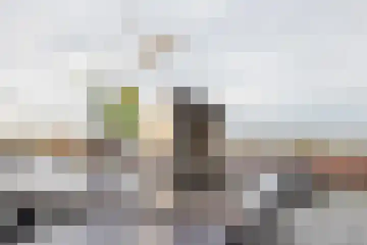 1e Loosterweg 42 V Hillegom thumbnail 14