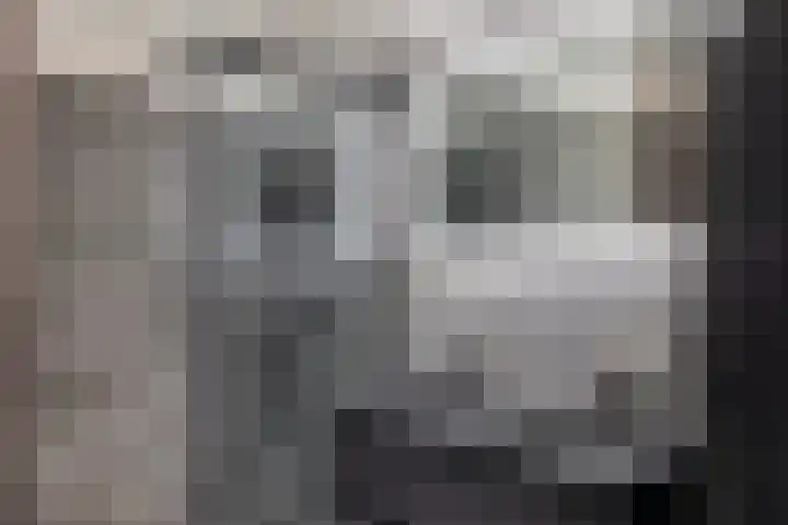 1e Loosterweg 42 V Hillegom thumbnail 31