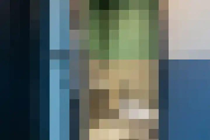 1e Loosterweg 42 V Hillegom thumbnail 6