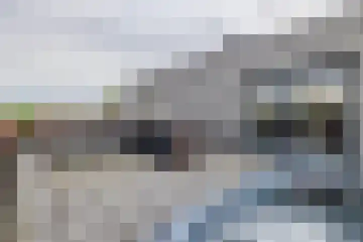 1e Loosterweg 42 V Hillegom thumbnail 9