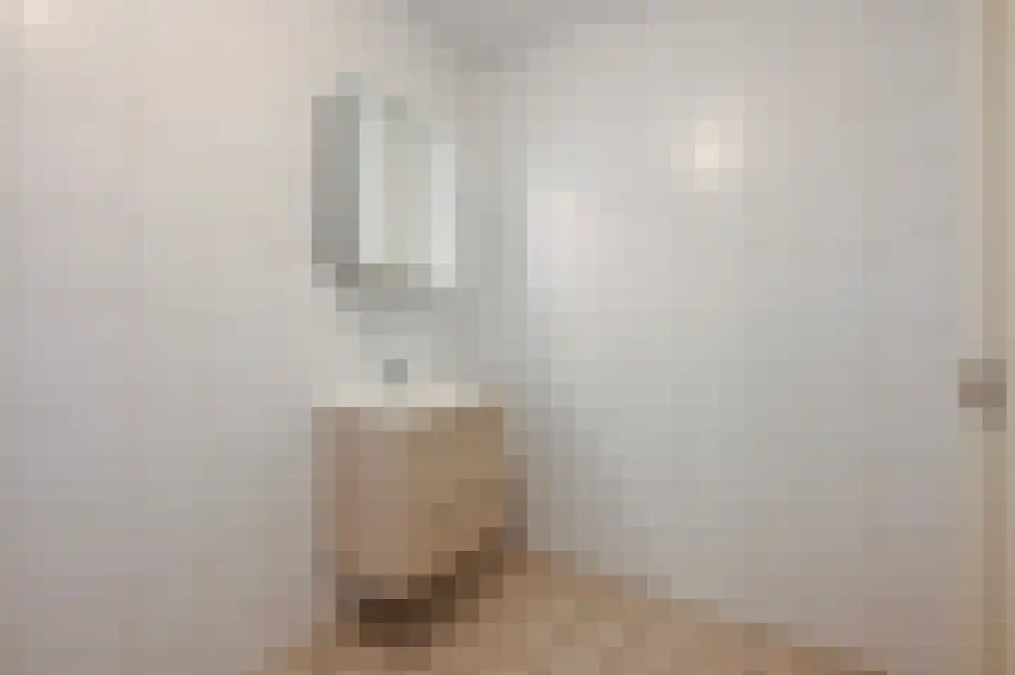1e Lulofsdwarsstraat 14 R Den Haag thumbnail 22