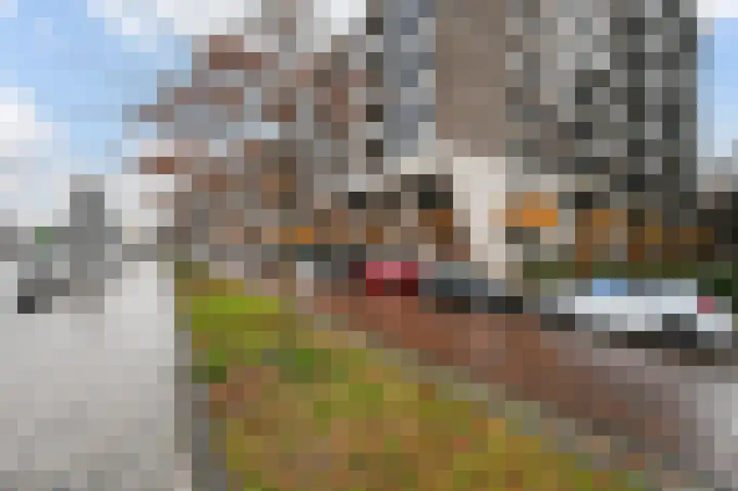 1e Lulofsdwarsstraat 14 R Den Haag thumbnail 26