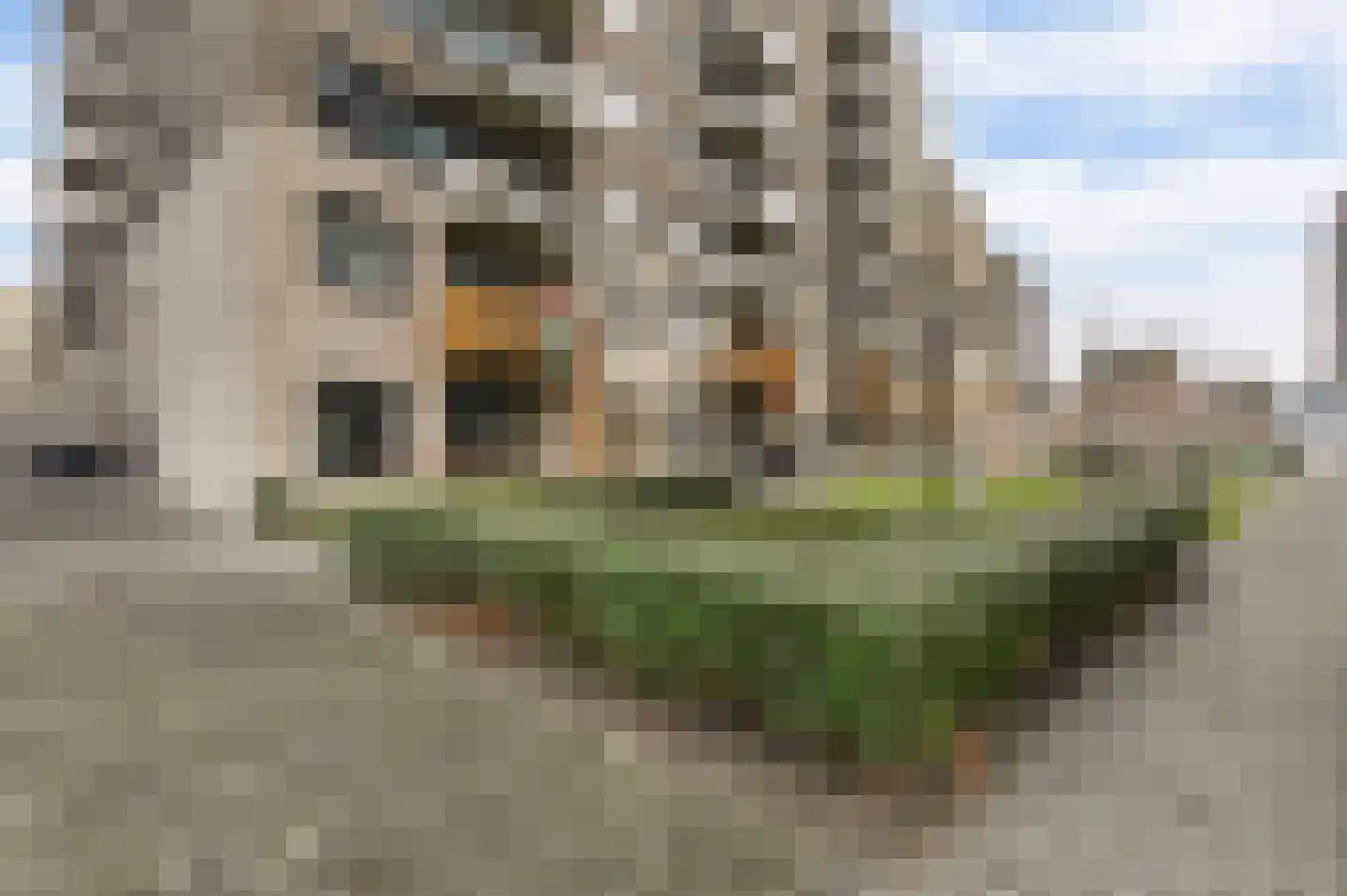 1e Lulofsdwarsstraat 18 S Den Haag thumbnail 29