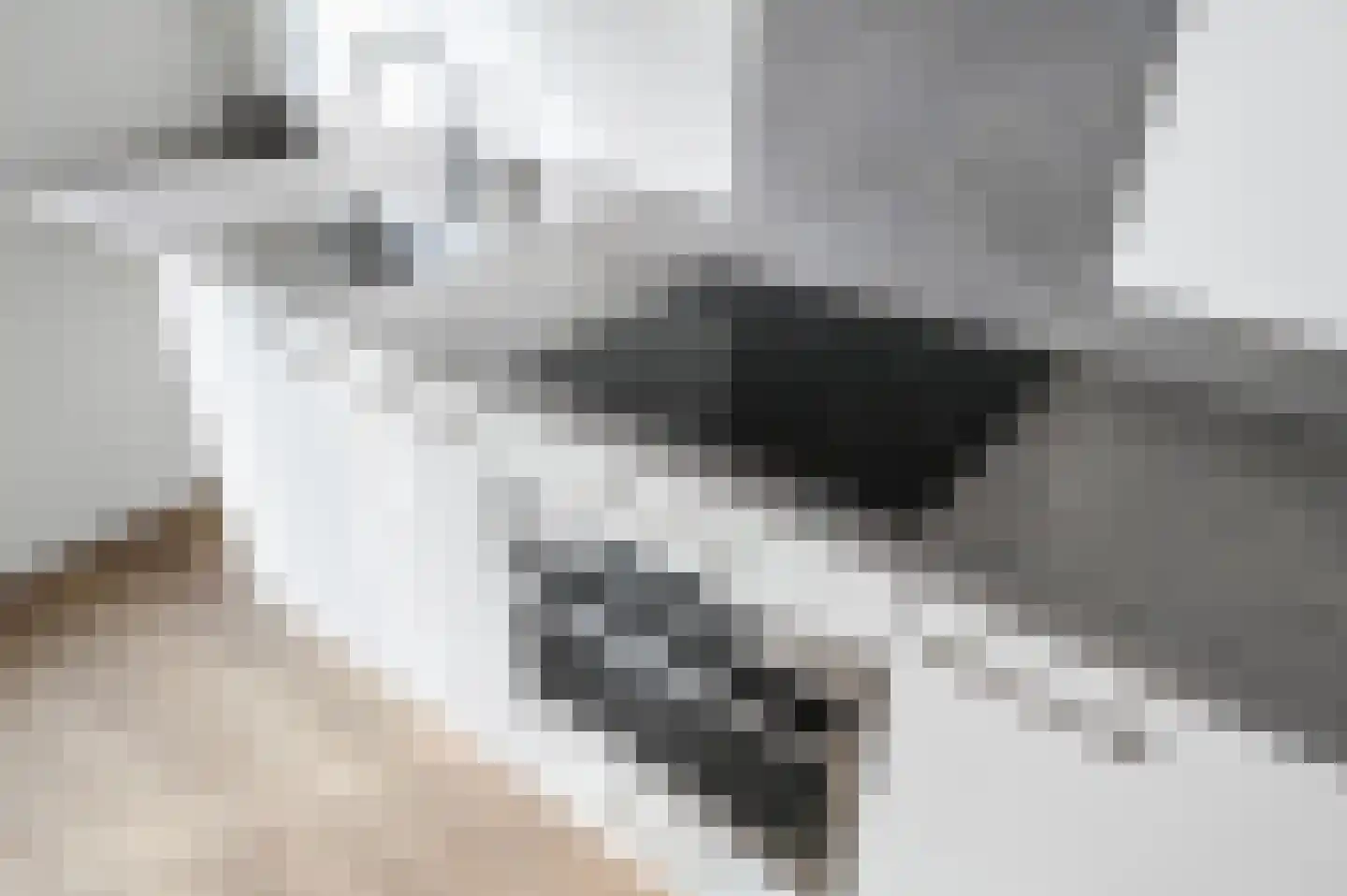 1e Lulofsdwarsstraat 2 M Den Haag thumbnail 13